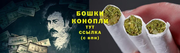 PSILOCYBIN Краснослободск