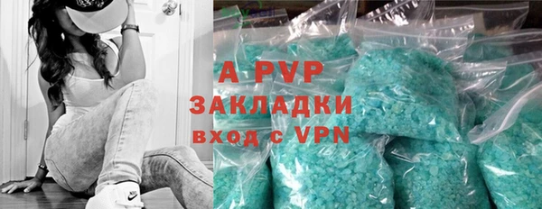 PSILOCYBIN Краснослободск