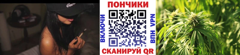 Шишки марихуана Amnesia  Купить  Апатиты 